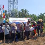 1 Hektare Lahan Desa Muara Dua Disulap Jadi Kebun Jagung